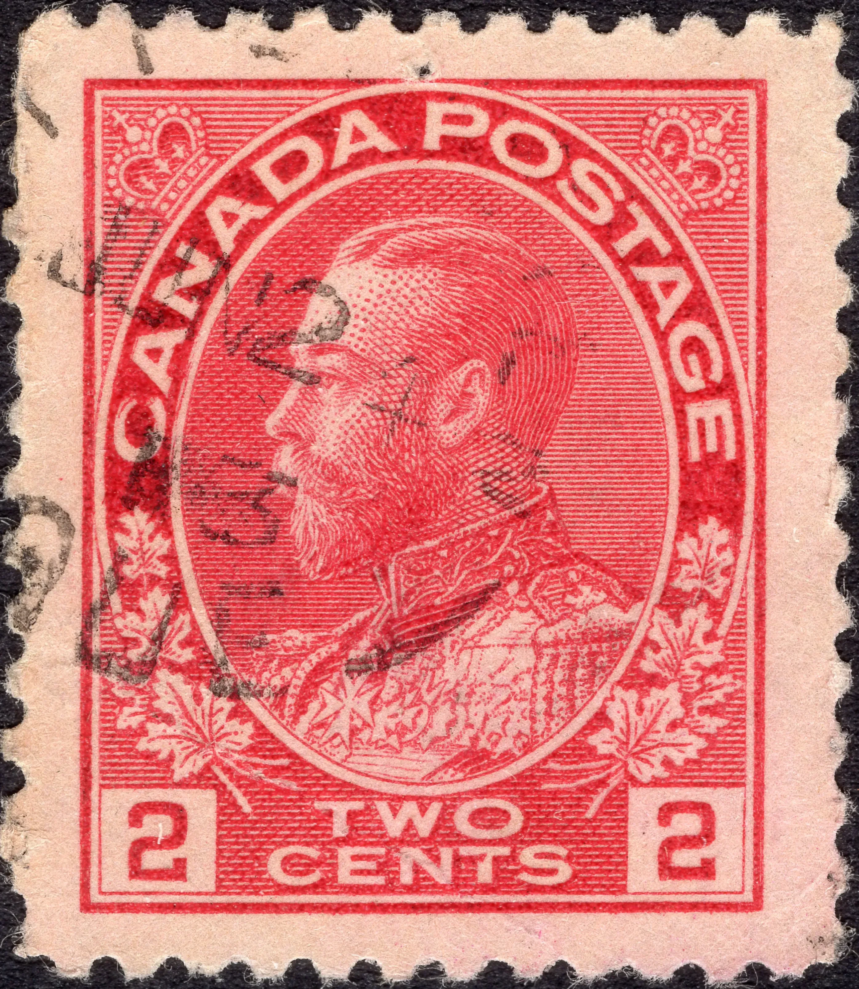 Image provided by Simon Young